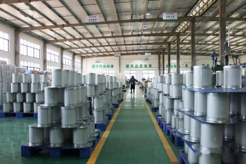 火力全開！伊普思福建工廠成功投產(chǎn)，第1000臺干燥機正式下線交付